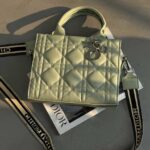کیف رودوخت DIOR کد 280264