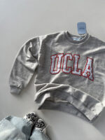 دورس UCLA کد 200815 - Image 6